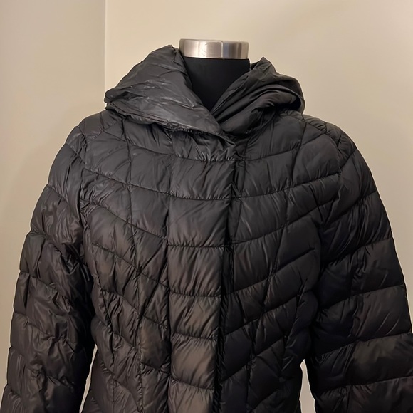 Calvin Klein - Picture 3 of 12